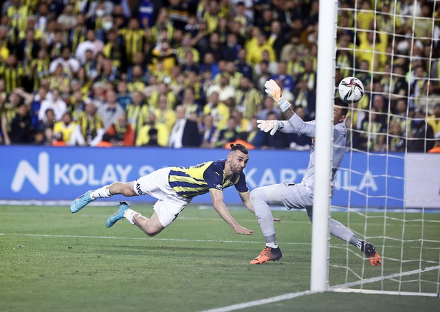 从锋线主力 从锋线主力