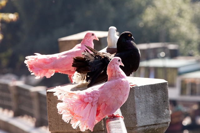极速电竞官网:电竞数据_电竞比赛直播_极速电竞APP