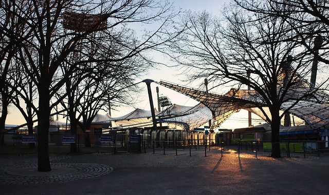 让众多球迷 让众多球迷