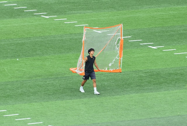 乏情感基础 乏情感基础