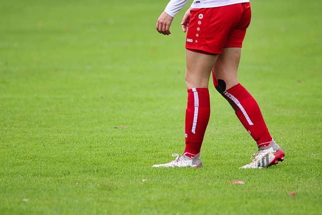 但萨拉赫也 但萨拉赫也