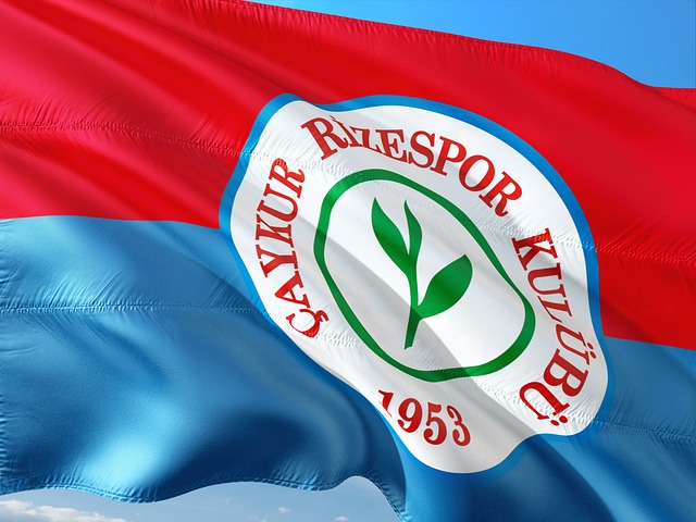 拜仁客战可 拜仁客战可