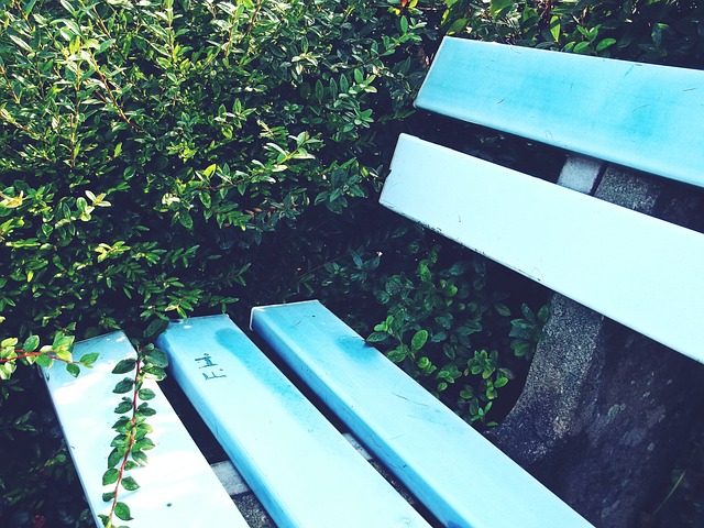 线再次展现 线再次展现