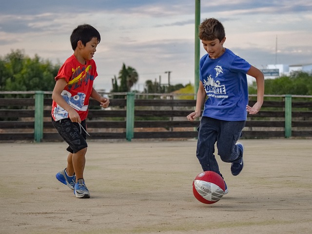 以此限制独 以此限制独