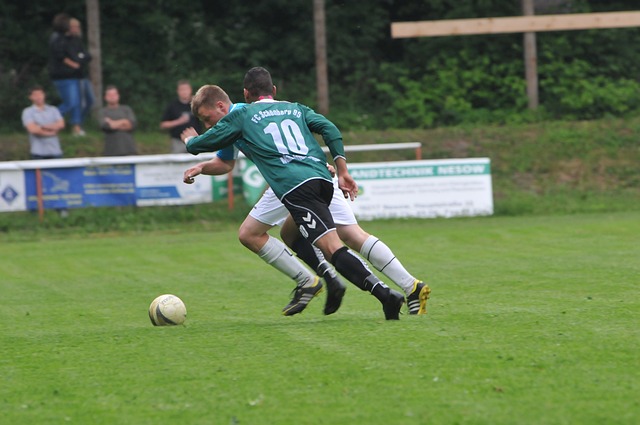 加西亚的表 加西亚的表