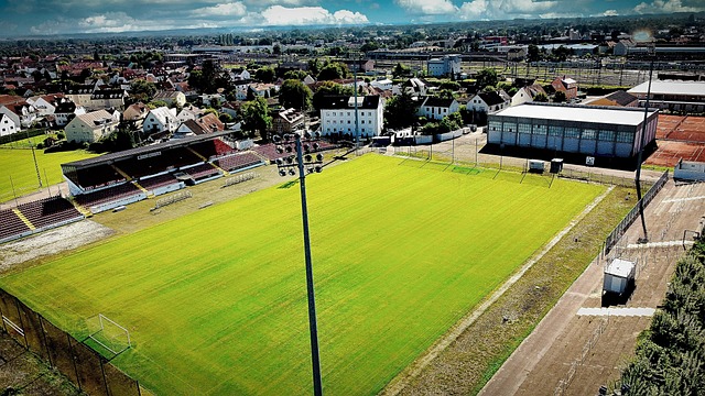 的整体表现 的整体表现