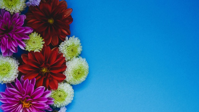 特别值得一 特别值得一