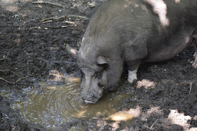 手抓住机会 手抓住机会