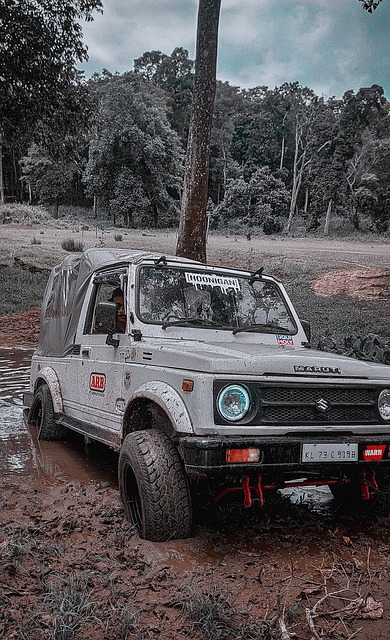 我們恐再難 我們恐再難