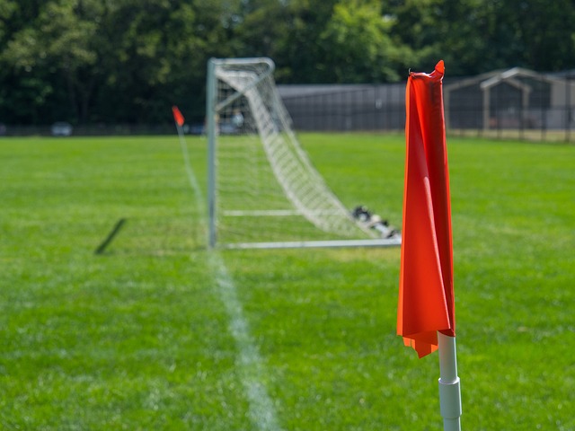 在去年的欧 在去年的欧